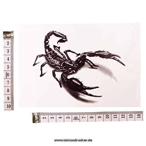 black scorpion 3d tattoo skorpion tattoo temporre ttowierung temporary